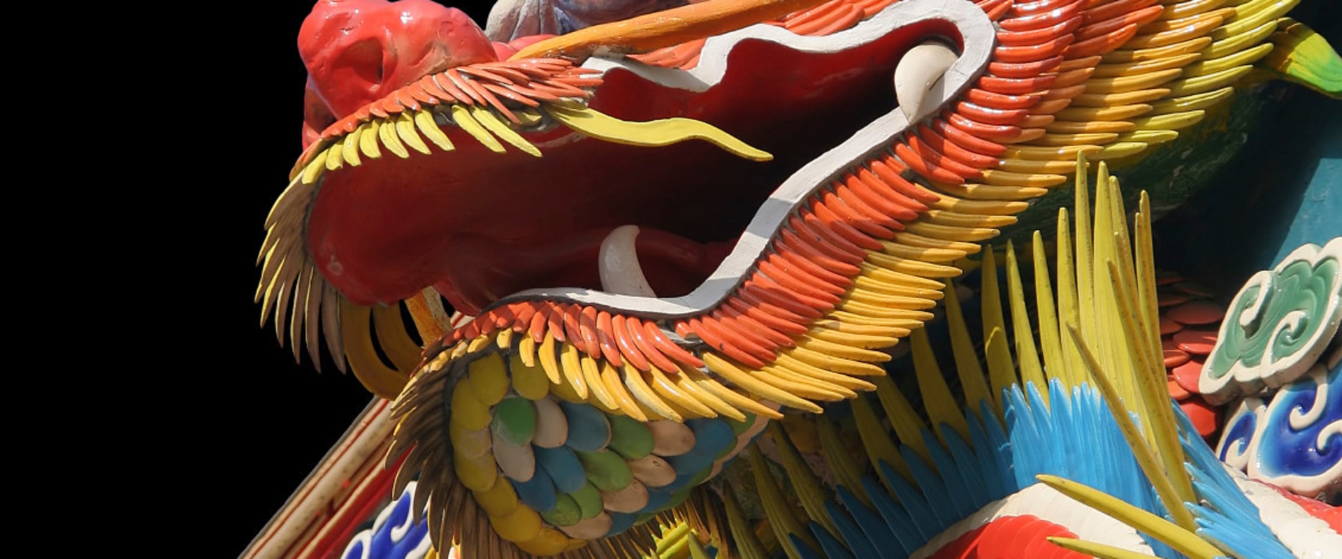 The Fascinating History of Dragon Boat Racing in Orlando, Florida